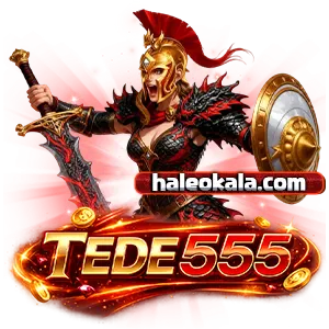 tded 555 เข้าสู่ระบบ