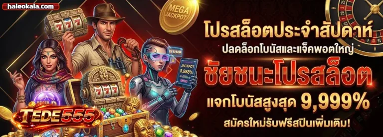 tded555 2