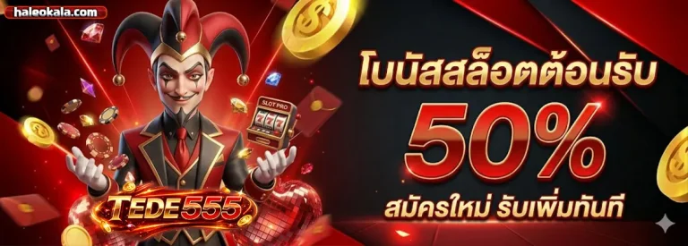 tded555 โปรโมชั่น